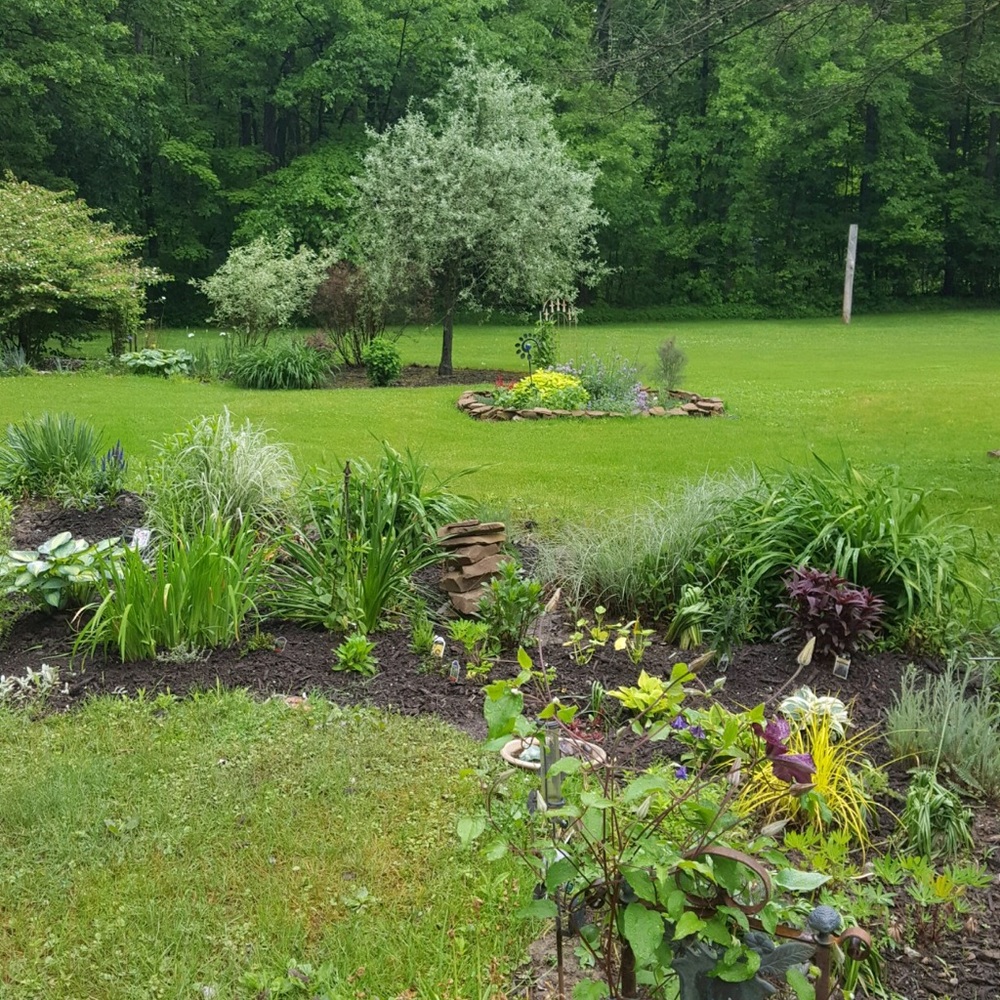 Meet your Posher, June